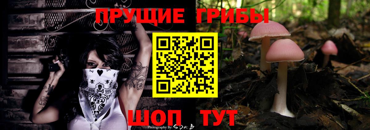 Кулебаки  Галлюциногенные грибы MAGIC MUSHROOMS  магазин продажи   Вход с VPN 